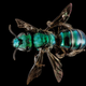 Illustration for article titled These Exquisite Bee Photographs Reveal Every Delicate Hair, Antenna, and Wing